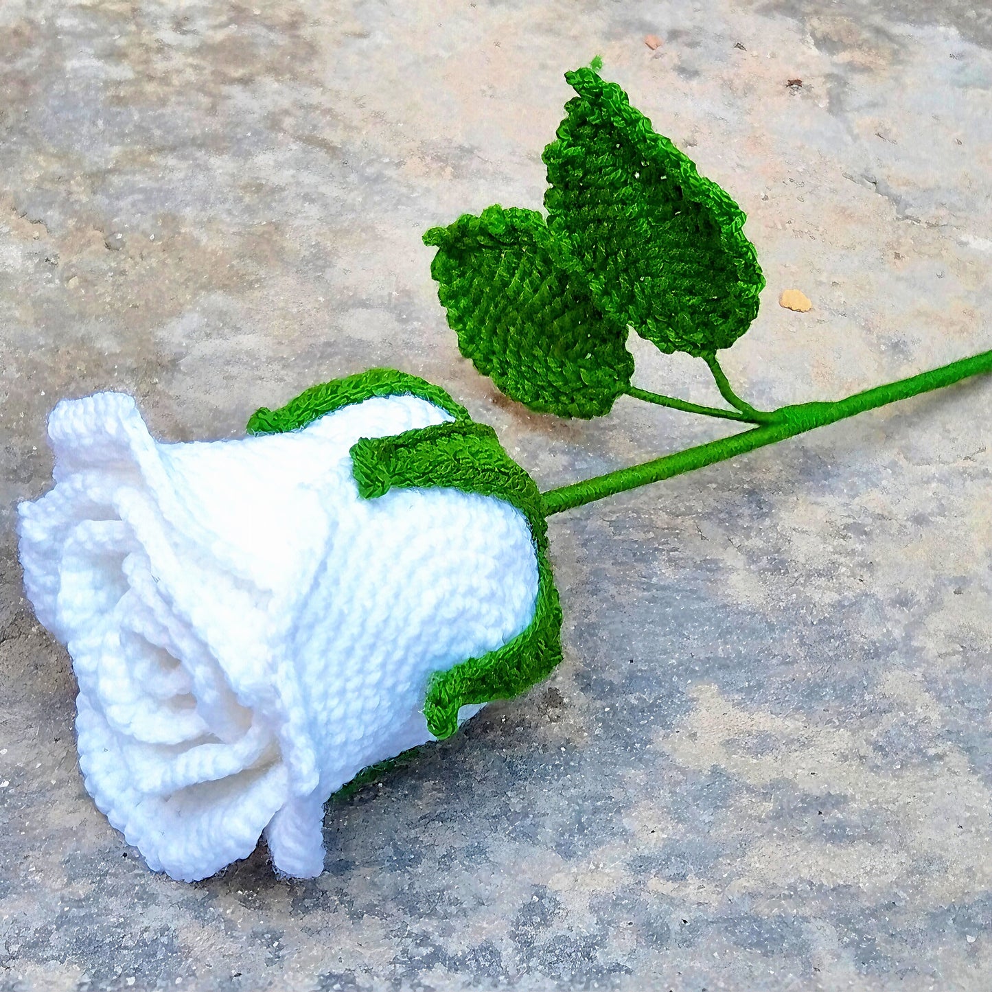 White Rose