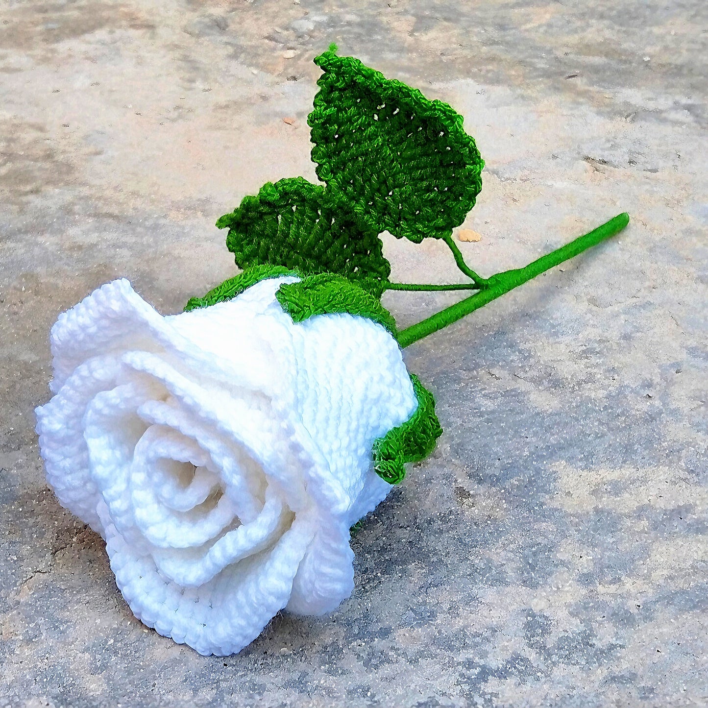 White Rose
