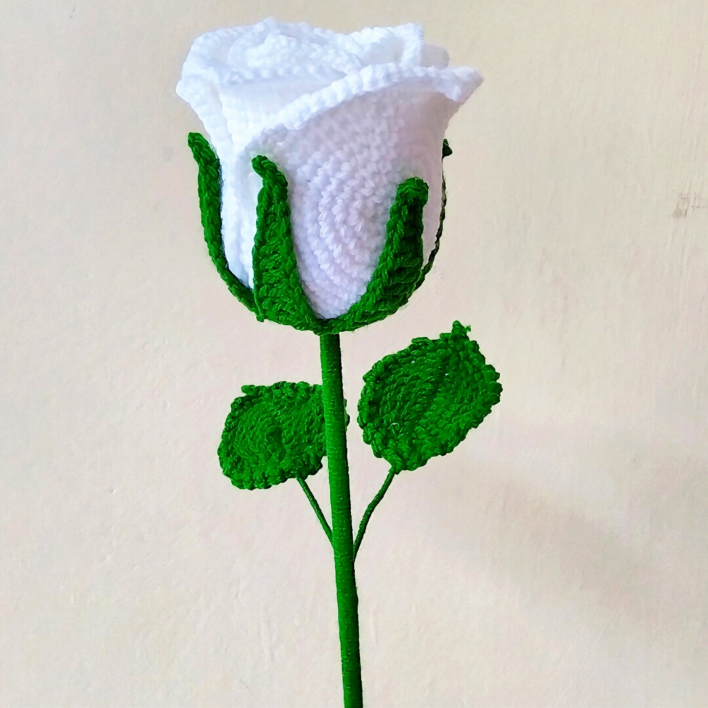 White Rose