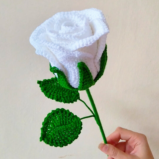 White Rose